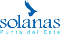 Solanas PDE